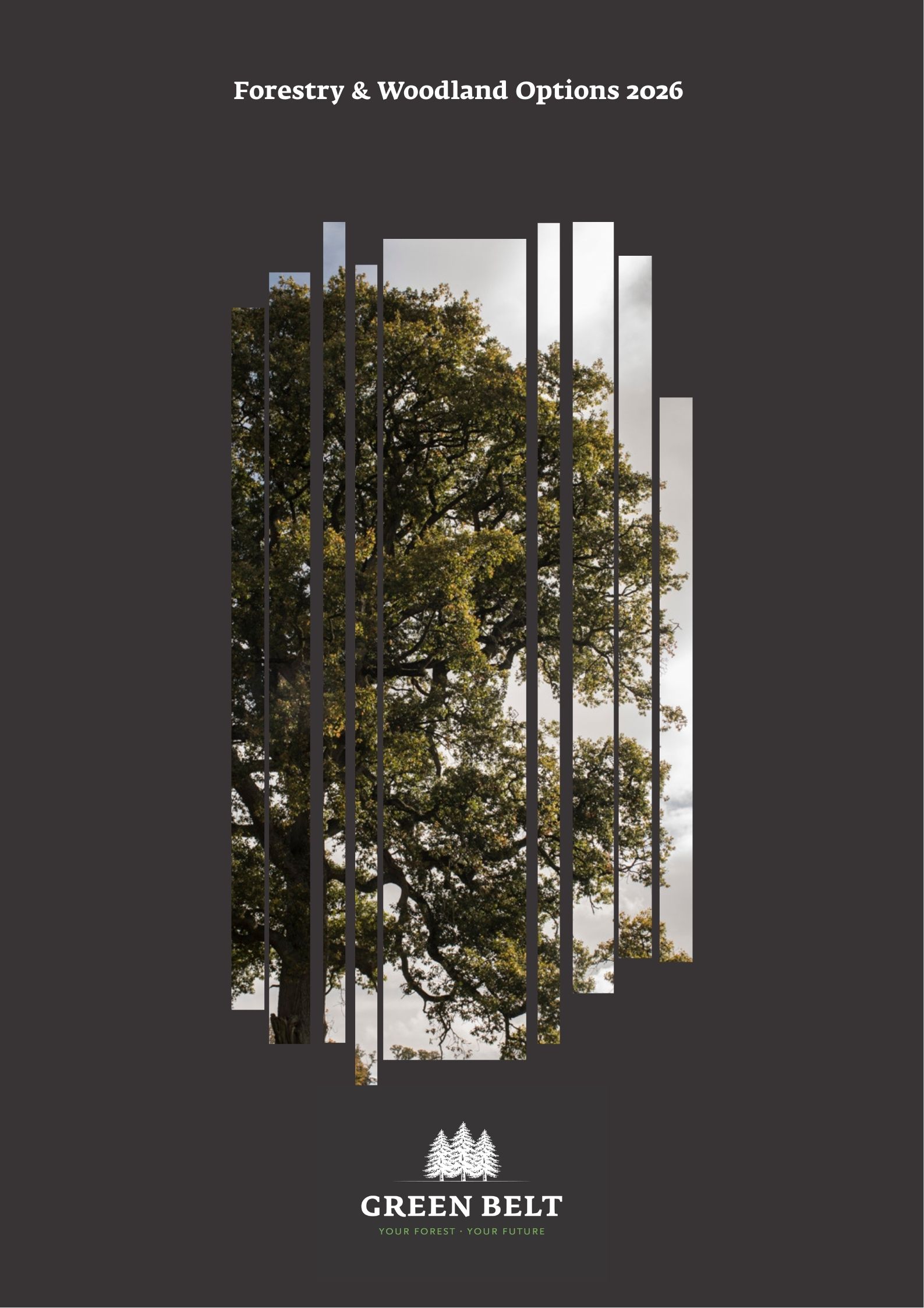 forestry planting types