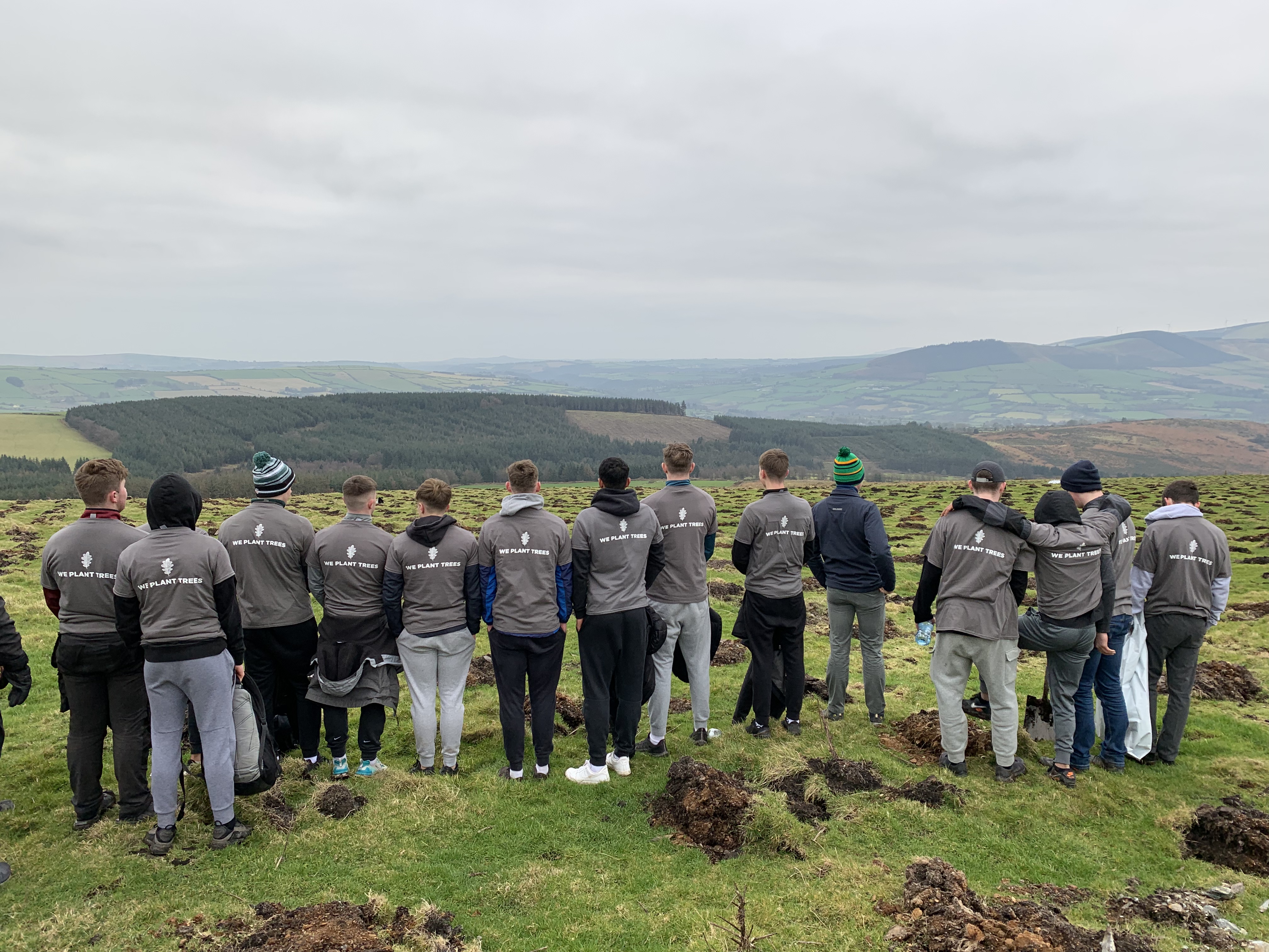 group on a hilltop after planting trees